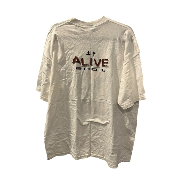 Vintage 2001 Rick Springfield Alice Tour Las Vegas Short Sleeve T-Shirt Size XL - Picture 4 of 5